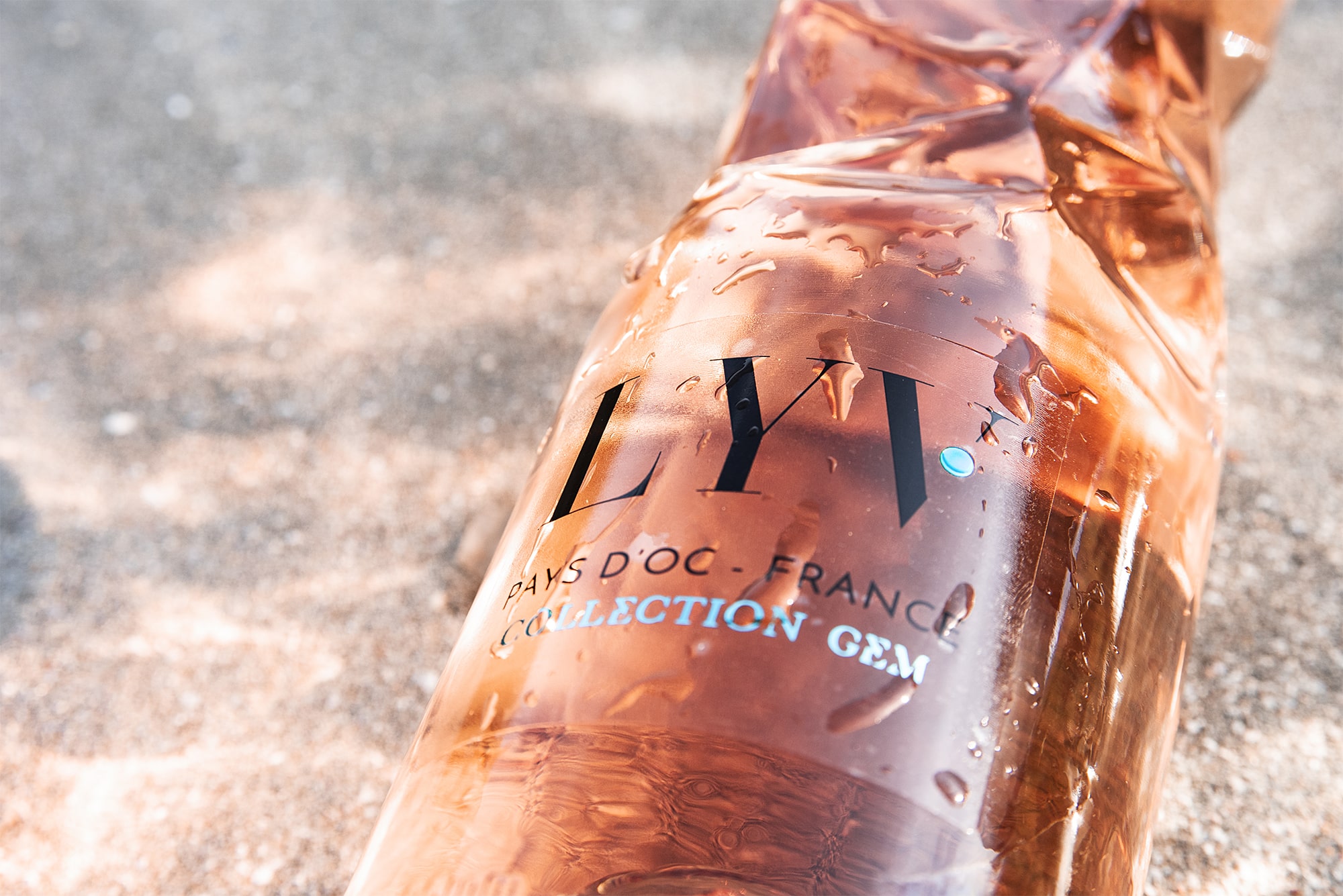 Mon titre en anglais  LYV