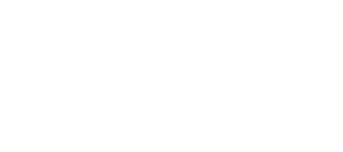 logo lyv